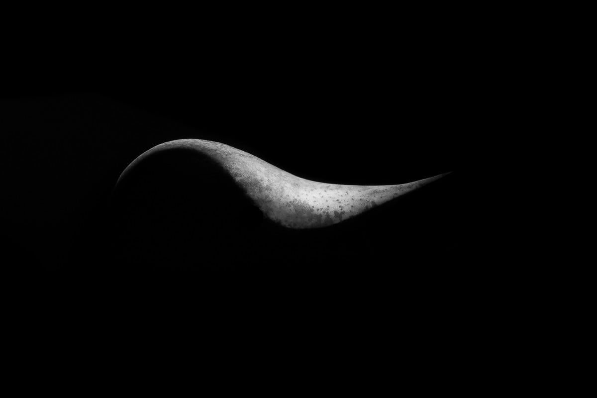 Poire packshot photographe drome