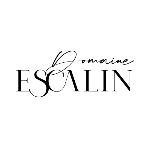 Logo-écrit-noir-sans-baseline-400x170 domaine escalin